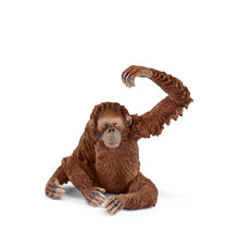 Schleich Orangutan - Female