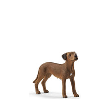 Schleich Rhodesian Ridgeback