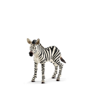 Schleich Zebra – Foal