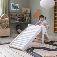 Sebra Roller Slide
