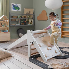 Sebra Roller Slide