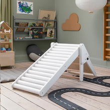 Sebra Roller Slide