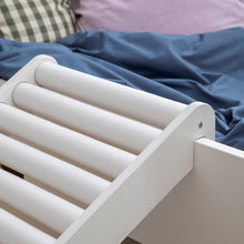 Sebra Roller Slide