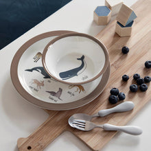 Sebra Melamine Plate – Artic Animals