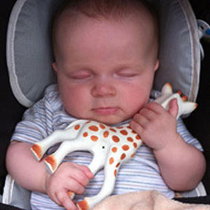 Sophie the Giraffe So Pure - Natural Teether Set