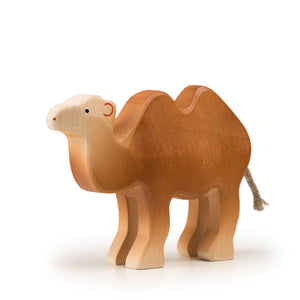 Trauffer Camel