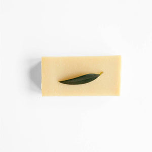 Werfzeep Soap Bar - Olive Oil