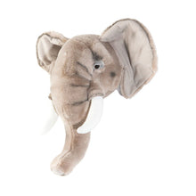 Wild and Soft Animal Head – Elephant George - Elenfhant