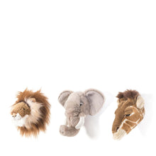 Wild and Soft Mini Animal Heads – Safari Gift Box - Elenfhant