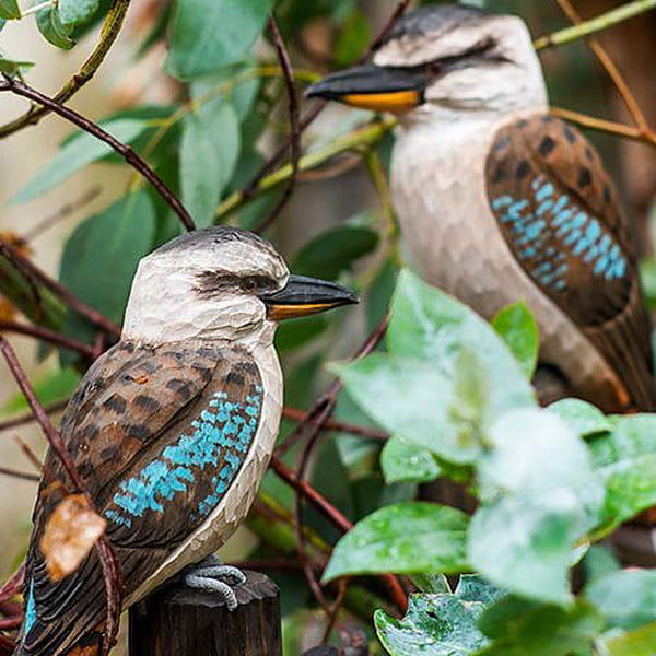 Groene bijeneter maakt vogelaars blij - Roots magazine Groene bijeneter maakt vogelaars blij - Roots magazine