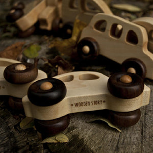 Wooden Story Electric Car